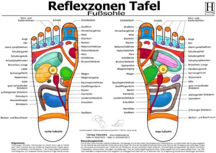 Fussreflexzonen Tafel. Fusssohle. DIN A3 | Poster | Deutsch | 2010