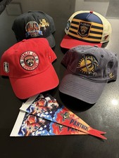NHL Florida Panthers Hat Lot