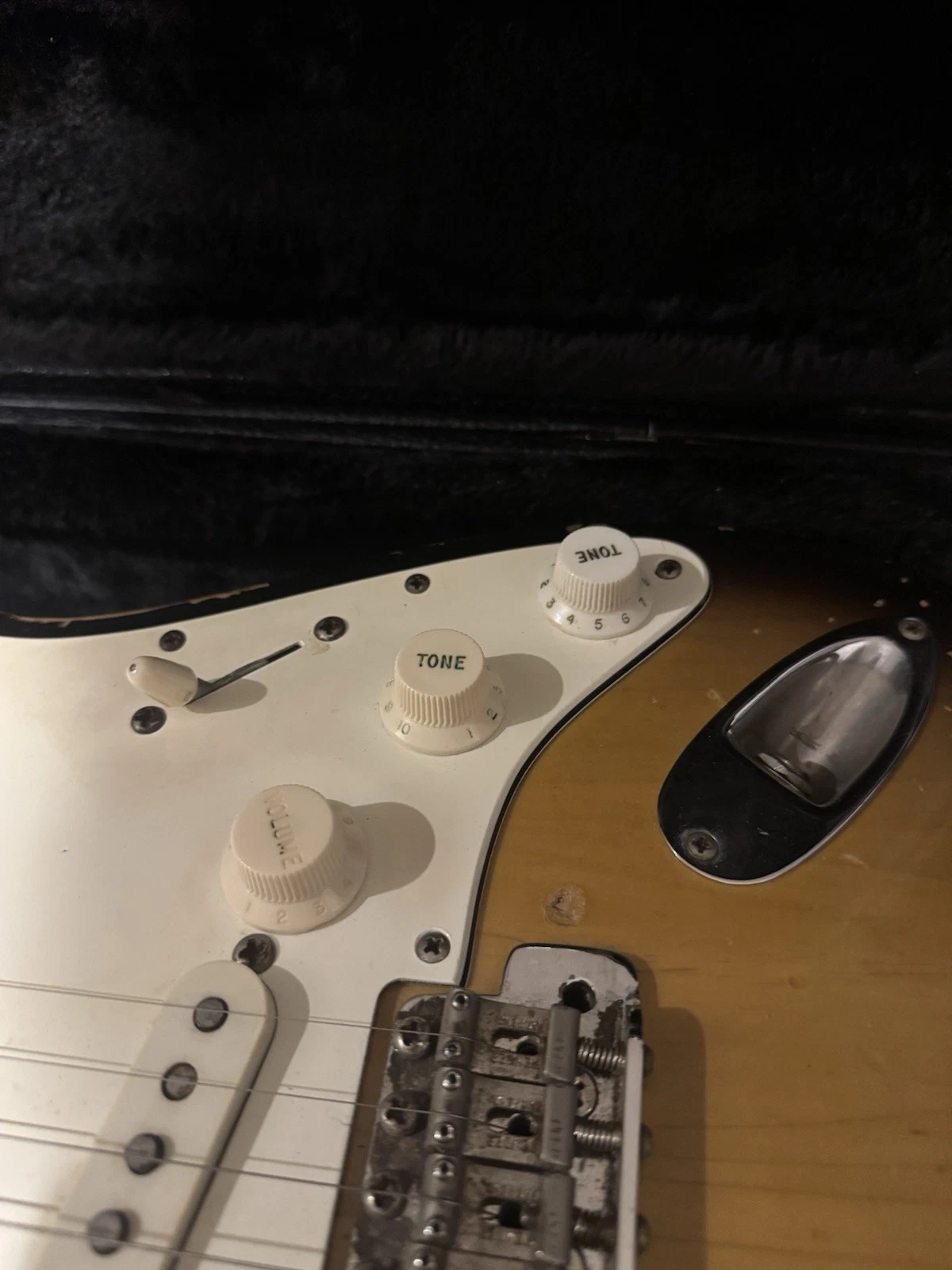 Picture 6 of 19