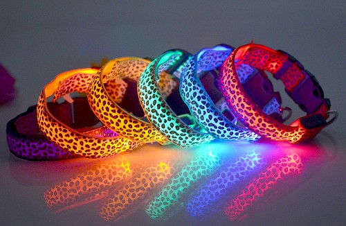 LED Glow Collar Dog Puppy Pet Flashing Light Safety Glow In The Dark FAST POST - Picture 26 of 81