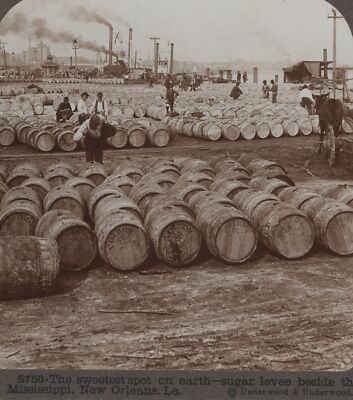 Sugar Levee Sweetest Spot on Earth New Orleans LA Underwood Stereoview c1905