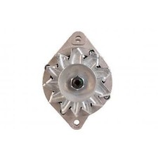 Per Goldoni Agricolo 3070 3050 55 B Cingolato 2.0 2.1 3.0 Alternatore Nuovo