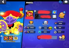 Guter Brawl Stars Account