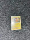 New ListingPikachu SM234 Holo