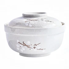 Ceramic Ramen Bowl with Lid Large Asian Instant Noodle Bowl for Soup Pasta