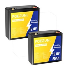 2 pcs 12V 25Ah LiFePO4 Lithium Battery With BMS for UPS Scooter Fish kid car RV
