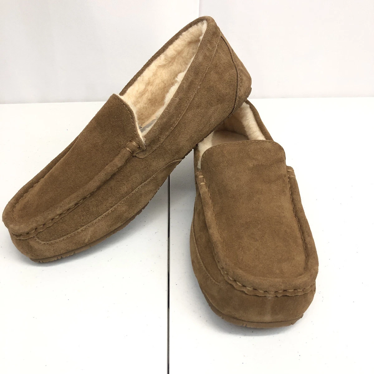 Men bearpaws cheap