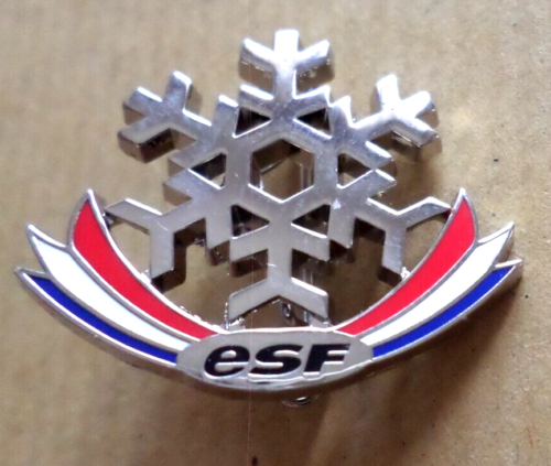 Broche de ski ESF nouvelle version - Flocon / Insigne médaille Brevet - Photo 1/1