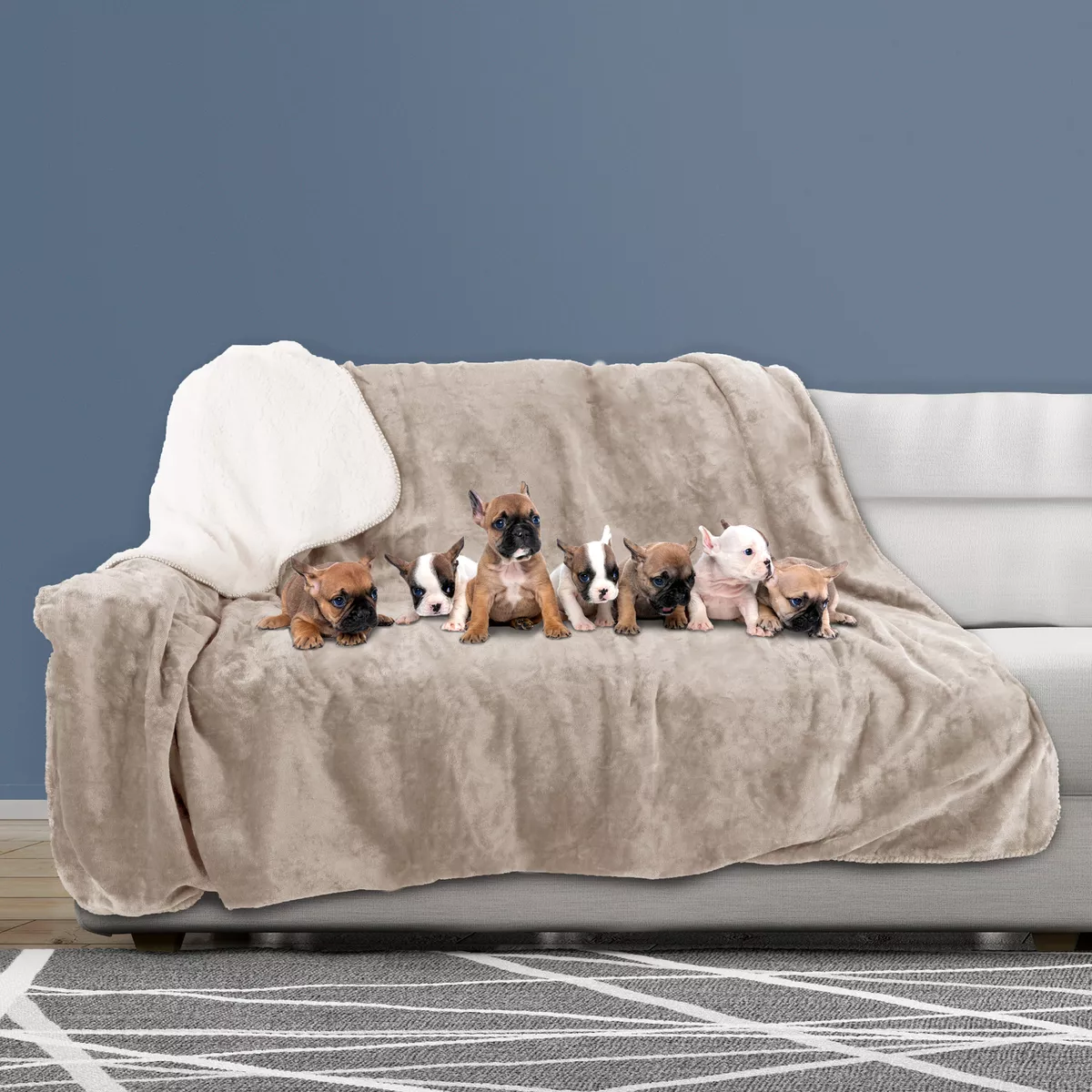 Dog blanket for car sale