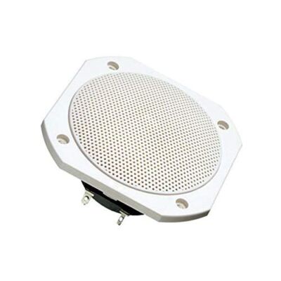 FRS 10 WP - 8 OHM (WHITE) | eBay