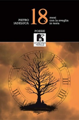 Pietro Iadeluca 18 mesi con la sveglia in testa (Paperback) (UK IMPORT)