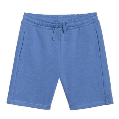 Trousers 4F 4F M600BLUE146