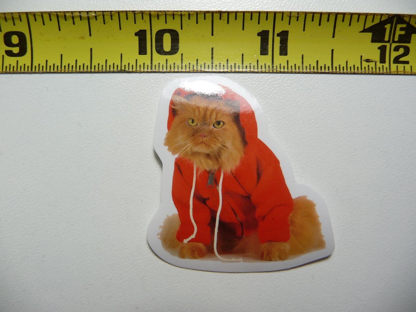 Cute Funny Cat Kitten Fall Decal Sticker for Wall Pet Lovers