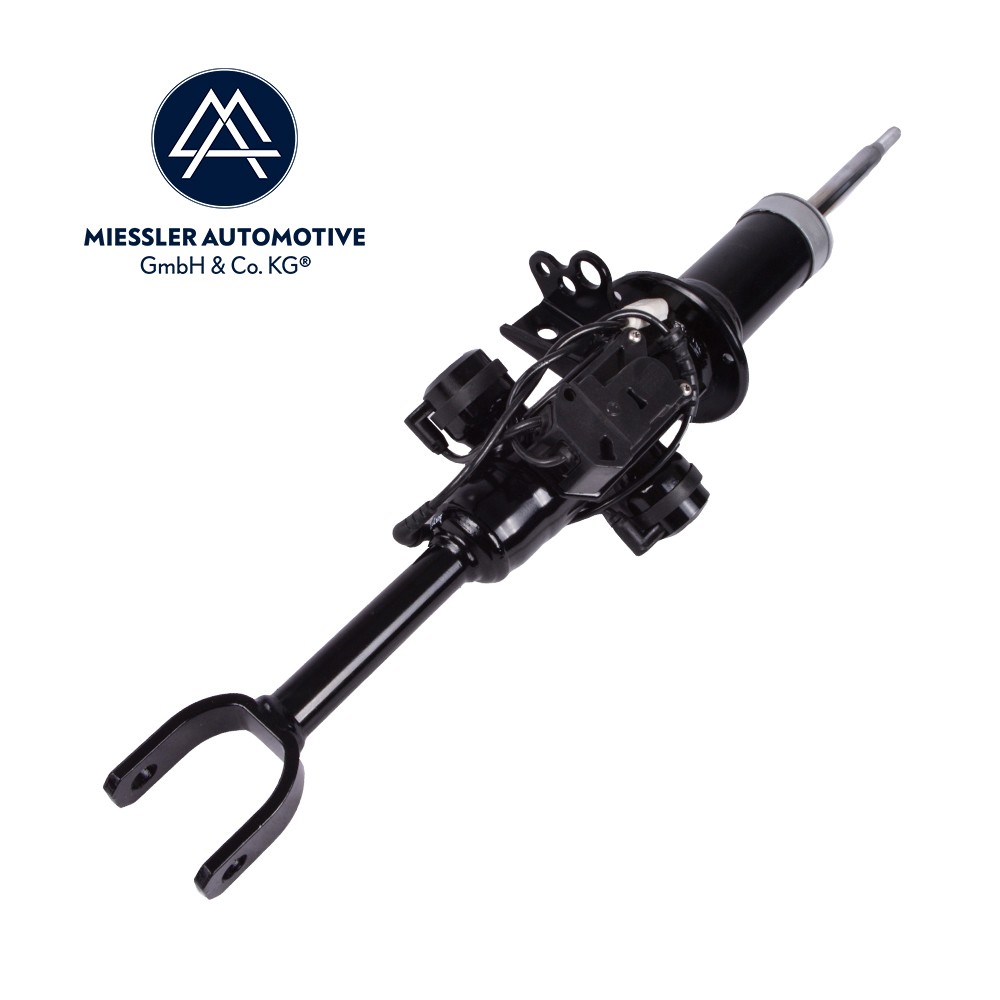 BMW F07 GT (Gran Turismo) Shock absorber suspension front