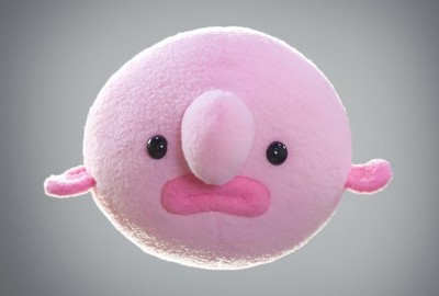 blobfish doll