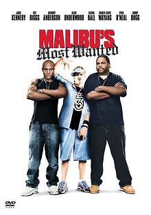 Malibu's Most Wanted von John Whitesell | DVD | Zustand gut