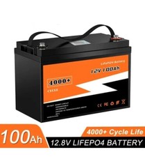 BATTERIA ACCUMULO LiFePo4 LITIO FERRO FOSFATO BMS INTEGRATO FOTOVOLTAICO 12V 24V