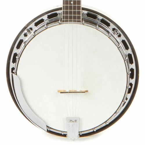 Fender Banjos