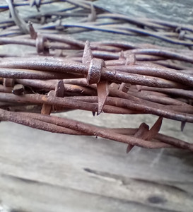 Antique 1883 Rusty Barbed Wire - G C Baker Flat Barb Cut to length by the foot