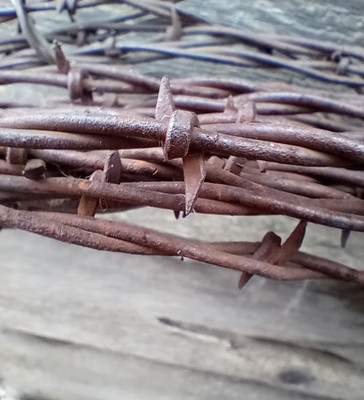 Antique 1883 Rusty Barbed Wire - G.C. Baker  Flat Barbed    Sold by the Foot