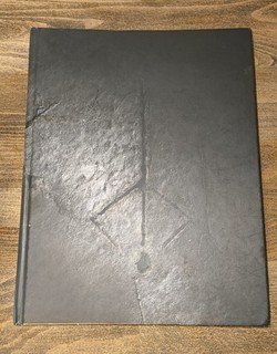 Bloodborne Collector's Edition Guide – Deutsch – Hardcover Lösungsbuch