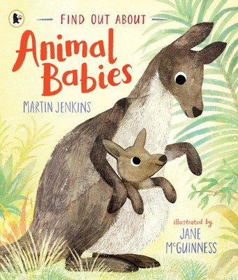Martin Jenkins | Find Out About ... Animal Babies | Taschenbuch | Englisch