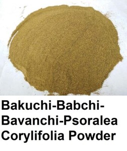 Extrait De Babchi (Psoralea Corylifolia) 10000mg - 90 Gélules - Amalthe - Neuf, Expiration 18 Mois