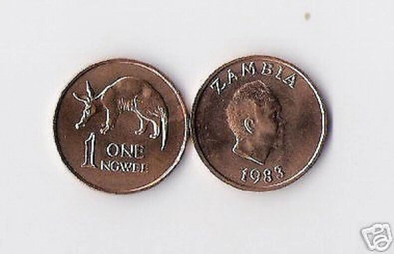 ZAMBIA 1 NGWEE KM-9 1983 x 50 Pcs Lot PRESIDENT KAUNDA BULL UNC COIN ANIMAL - Image 2 of 3