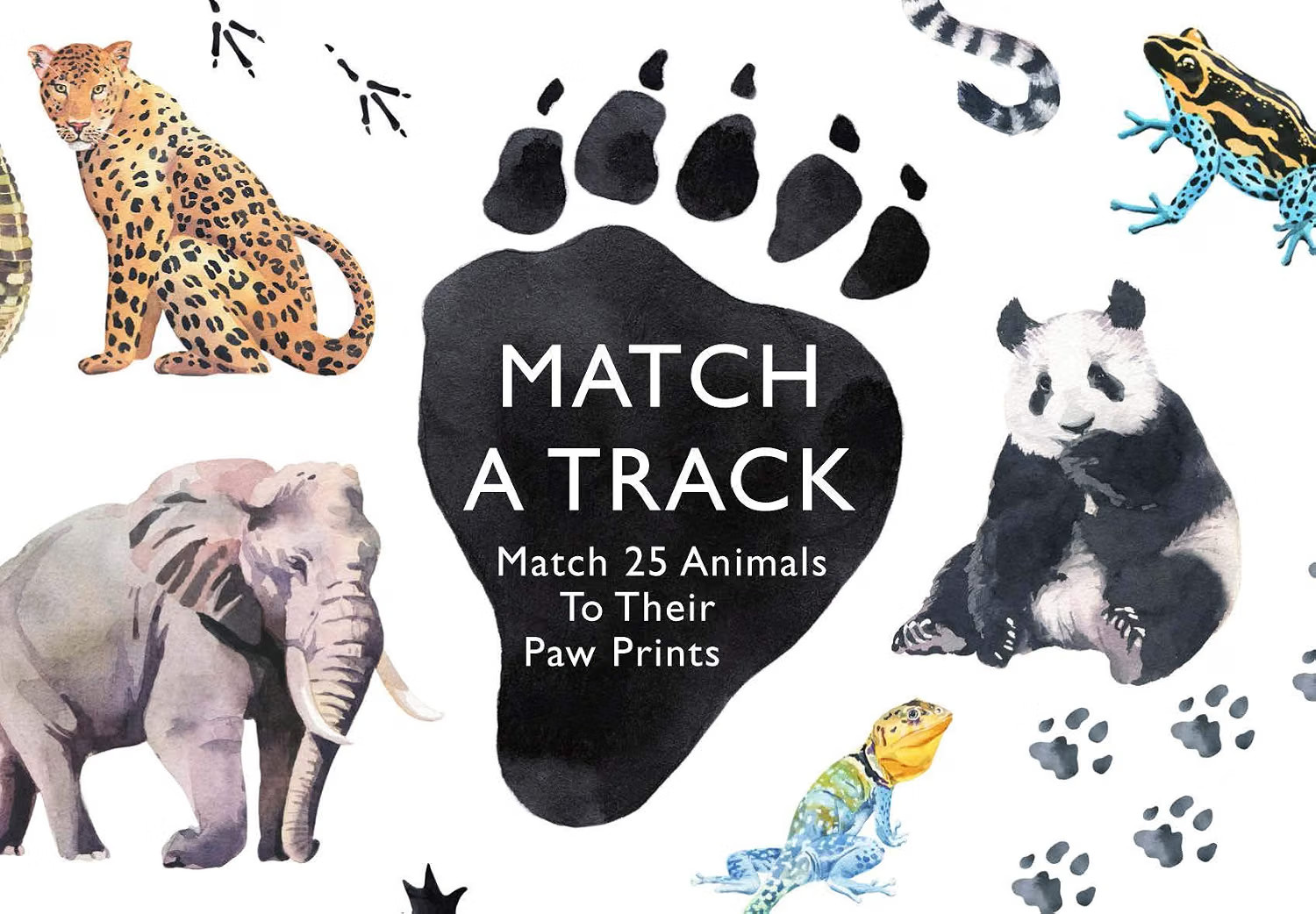 Match a Track: Match 25 Animals to Their Paw by Marcel George CARDS / POSTCARDS - Image 8