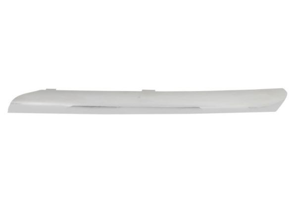 Left Front BLIC 5513-00-1632925P Trim/Protection Strip, radiator grille for NISS