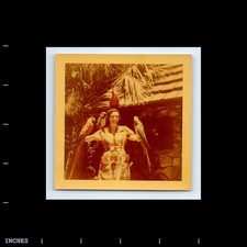 Square Color Photo WOMAN WITH PARROTS MACAW