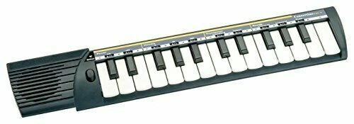 Pianoforti e tastiere Bontempi