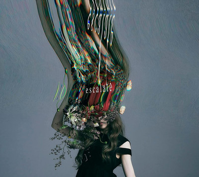 New Aimer escalate First Limited Edition CD DVD 4547366601763 VVCL-2215 Japan
