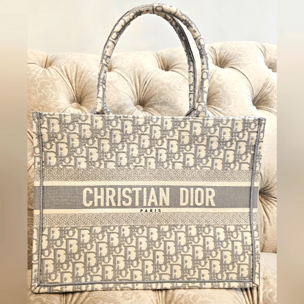 Dior Medium Book Tote in Ecru and Gray with Oblique Embroidery