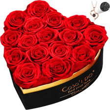 Preserved Roses Flowers for Delivery 16 Pcs, Mothers Day Rose Gifts for Her, For