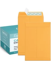 Eupako Catalog Envelopes 6x9 Small Brown Envelopes Self Seal 250 Pack for Mai...