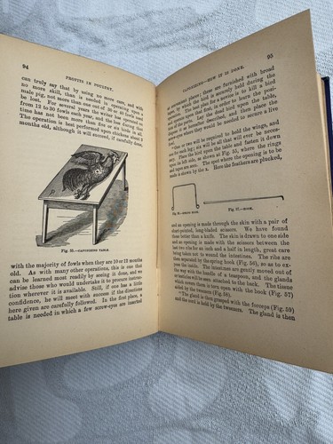 1st Edition 1889 “Profit In Poultry:Useful and Ornamental Breeds” Book+Ephemera - Picture 10 of 23