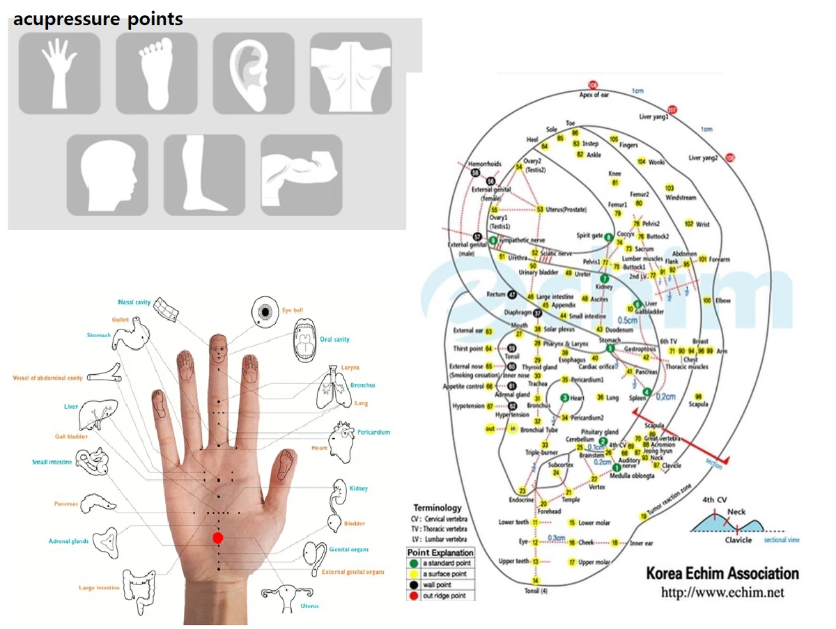 Korea Suji Acu Point Massager Hand Massage Roller Probe Stick Handy Sujok  Stress | eBay