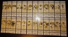 2012 NY Yankees Ticket Complete Set- All 24 with 3 Derek Jeter Variations