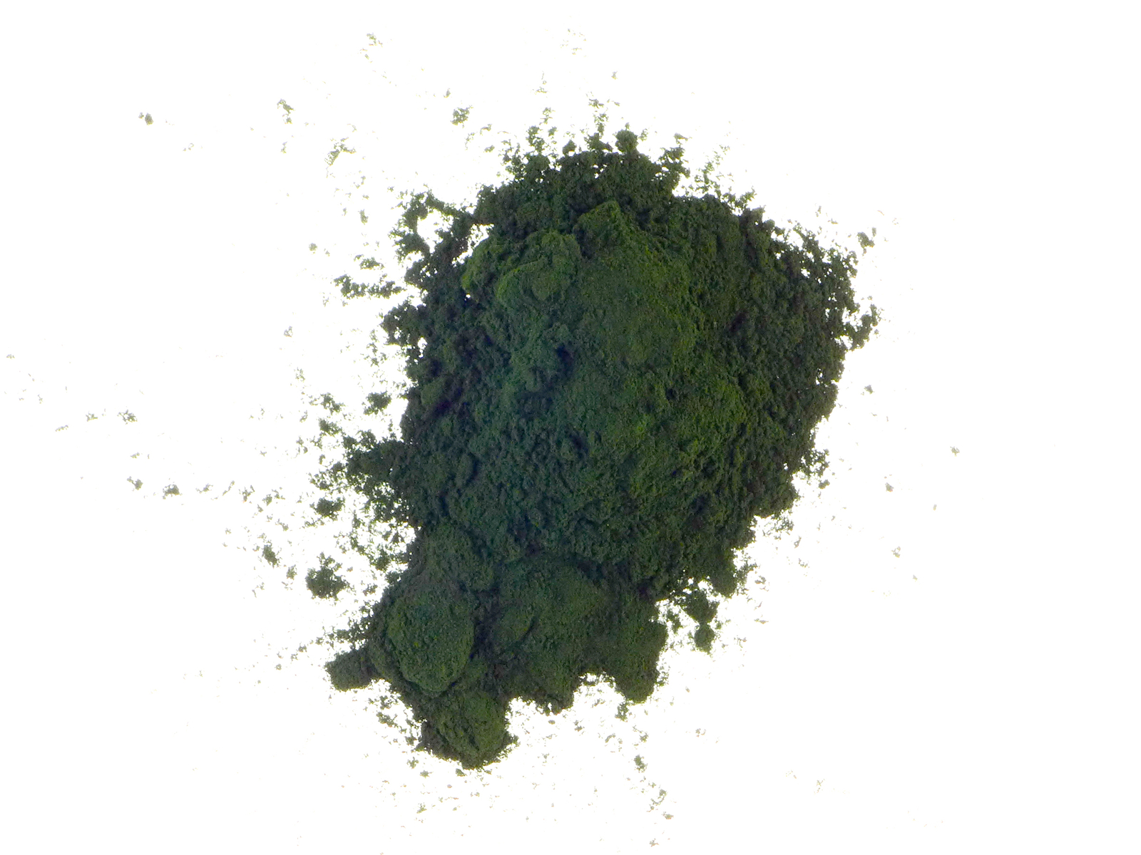 100g CHLORELLA powder by NUTRICRAFT™ - cracked cell wall - green algae superfood