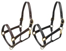 Large Horse Leather Halter w/ Brass Hardware