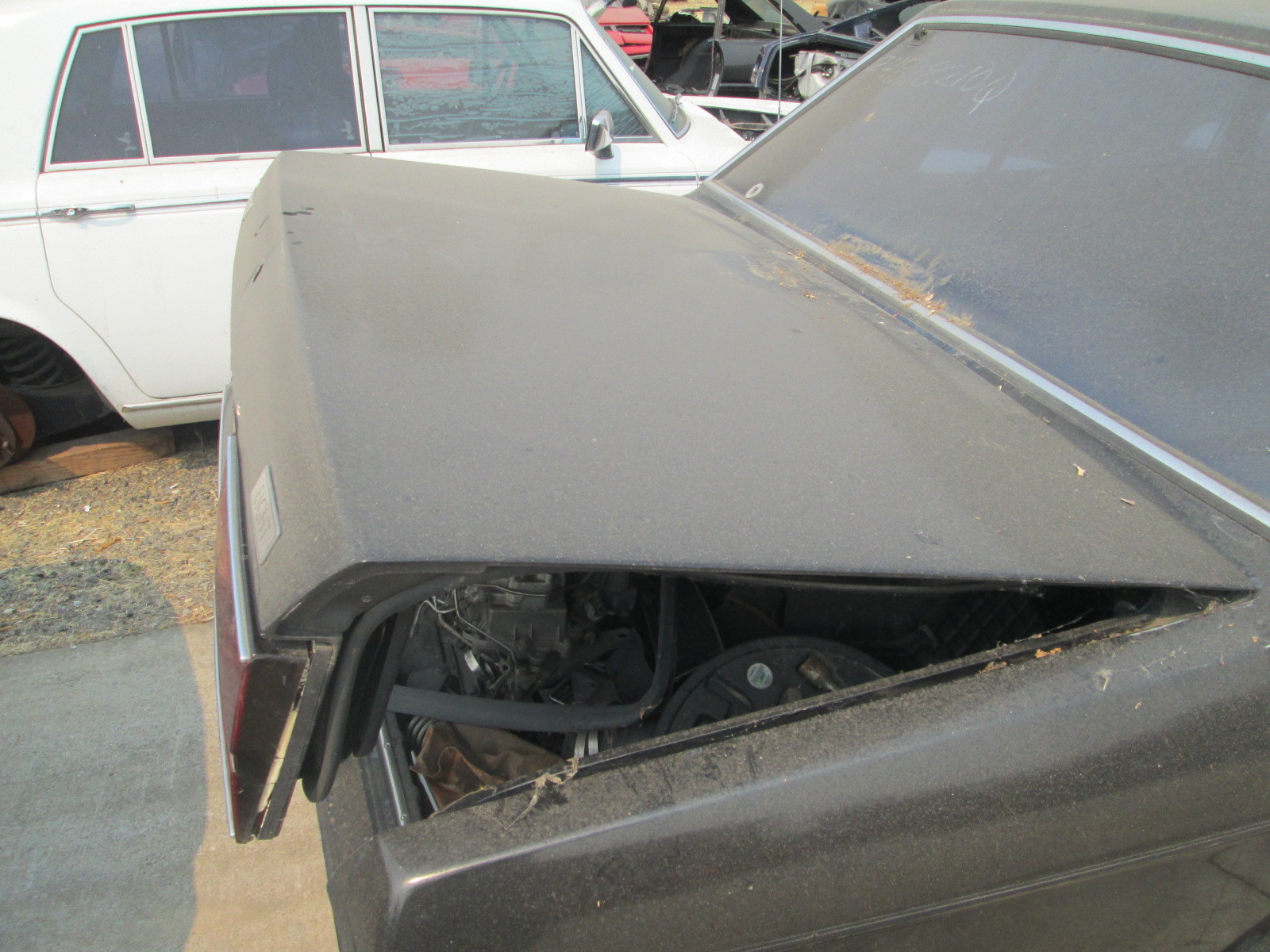 Bentley Eight 1987 - Rear Trunk Lid