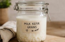 Live Milk Kefir Grains Fresh Starter Culture Raw Organic Probiotic Instructions