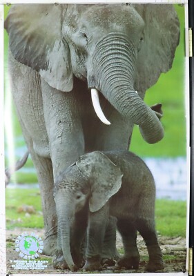 African Elephant and baby in Kenya 24.25''X36.50'' NOS (b196)