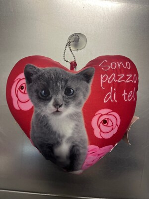 Kissen Herz Ich bin verrückt nach dir Liebe Love Valentinstag Verliebte Katzendruck