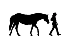 1- 5x10 inch Stencil, (TG-83) Cowgirl With Horse (6mil)*****