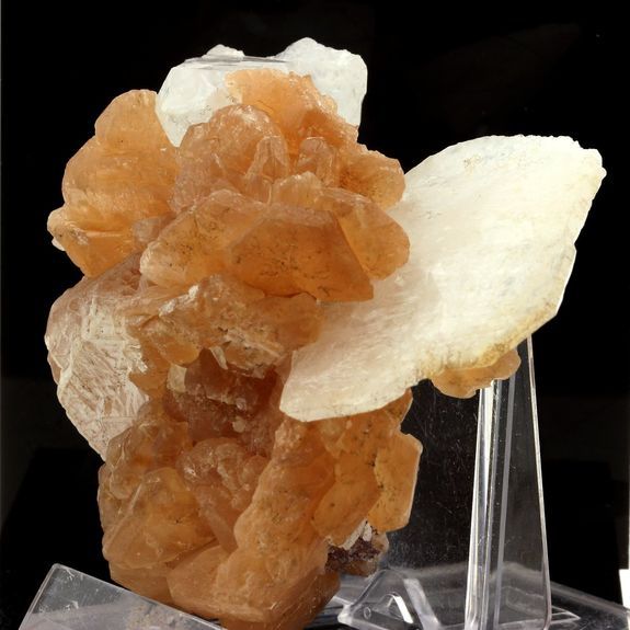 Dolomite + Quartz. 1055.1 ct. Brumado, Bahia, Brésil (1978). Het nieuwste goedkope product