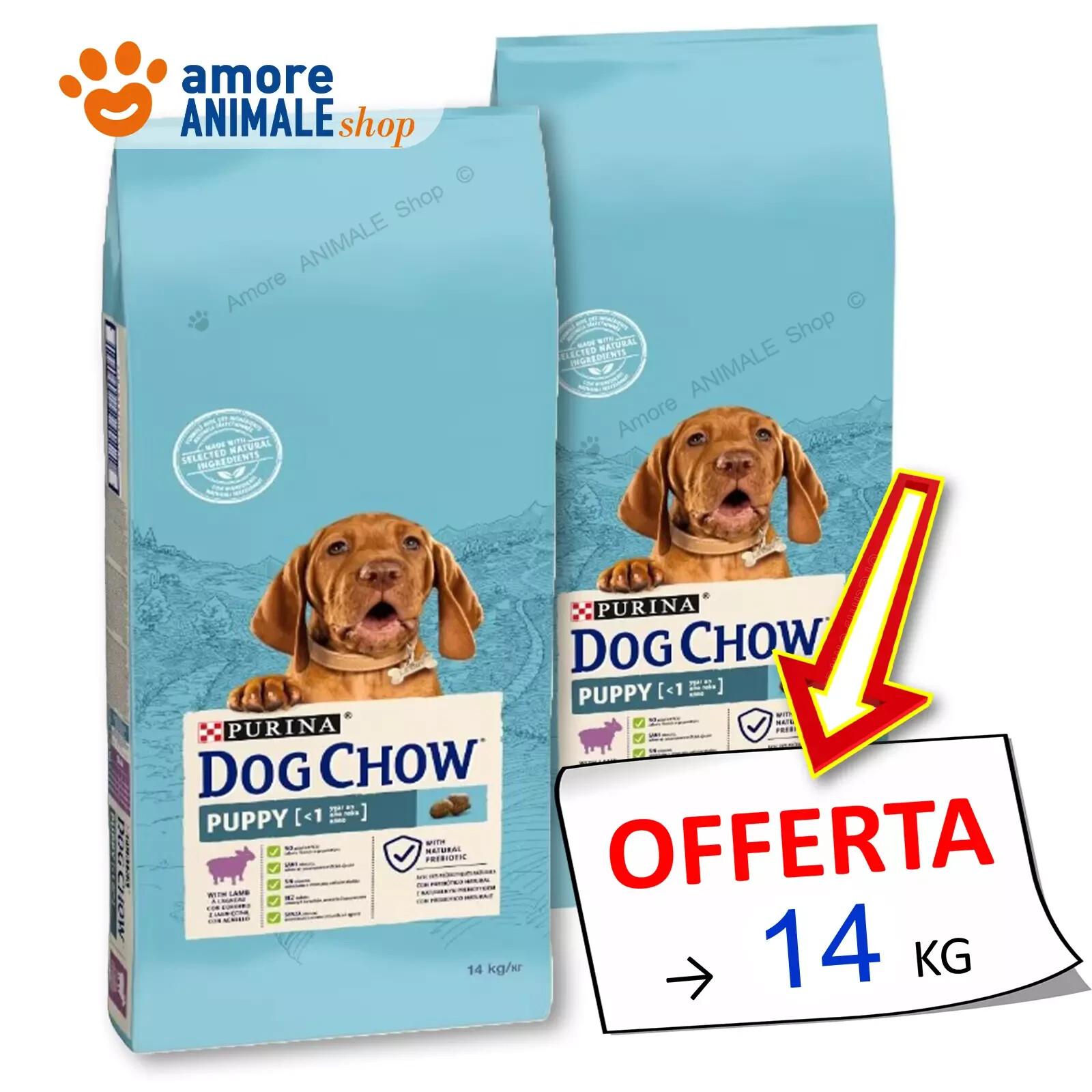 PURINA Dog Chow → PUPPY, Agnello - 14 kg - Crocchette Cane Cani (ex Tonus)