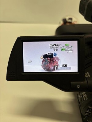 Canon XH A1 Mini DV, DV, Flash Media Camcorder for sale online | eBay