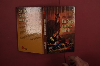 425347 Joanna Campbell EIN PFERD NAMENS WUNDER Pony Club HC